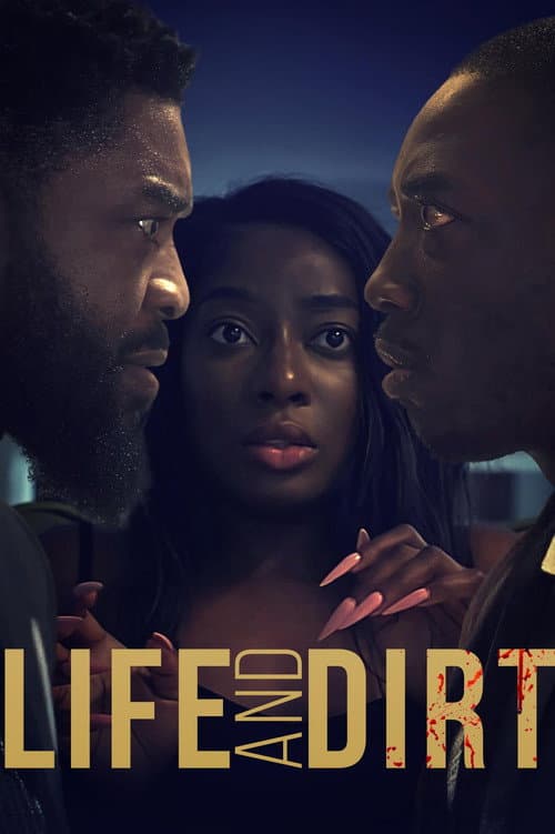 Affiche de Life and Dirt
