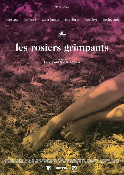 Affiche de Les rosiers grimpants
