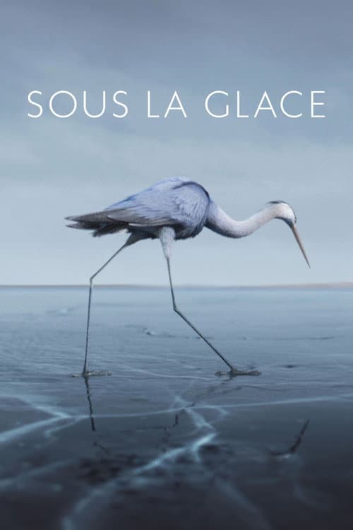 Affiche de Sous la glace