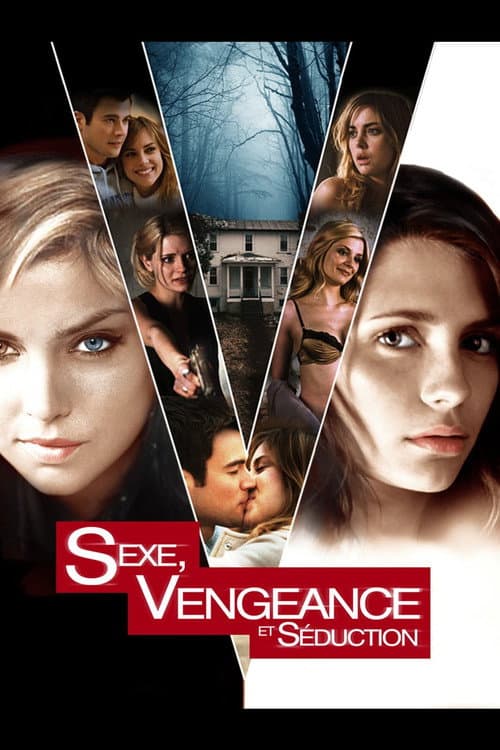 Affiche de Sexe, Vengeance et Séduction