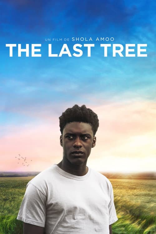 Affiche de The Last Tree