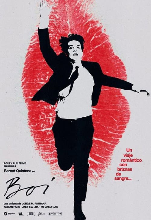 Affiche de Boi