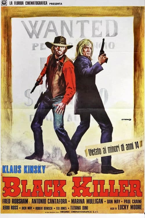 Affiche de Black Killer