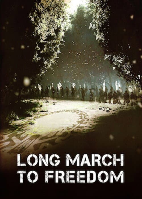 Affiche de Long March to Freedom