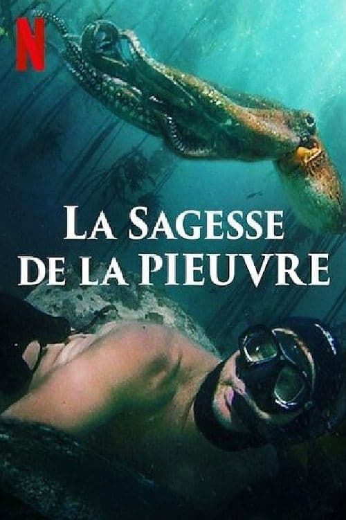 Affiche de La Sagesse de la pieuvre