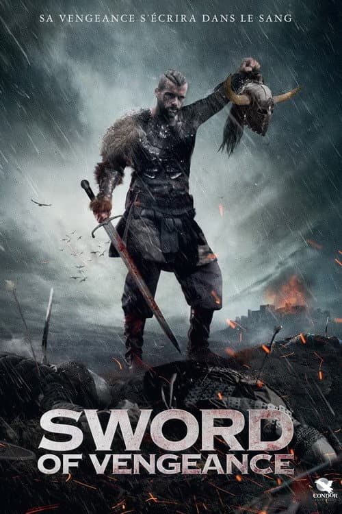 Affiche de Sword of Vengeance