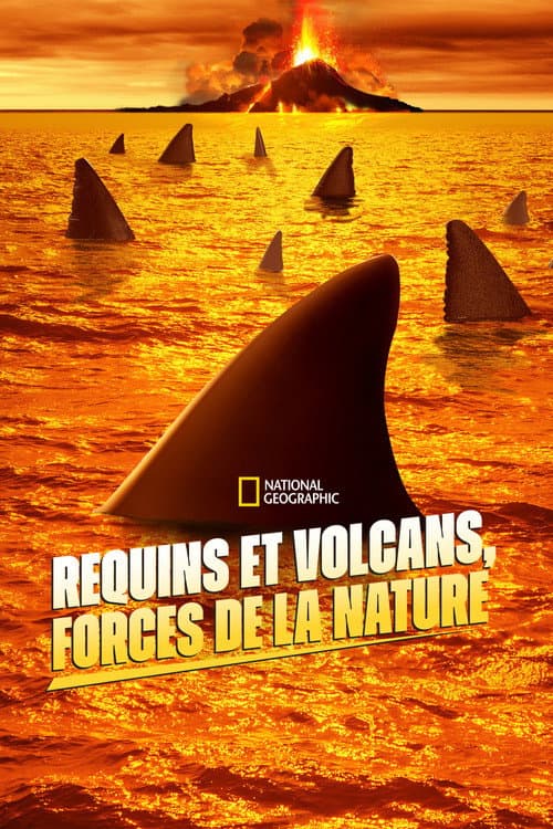 Affiche de Requins et volcans, forces de la nature