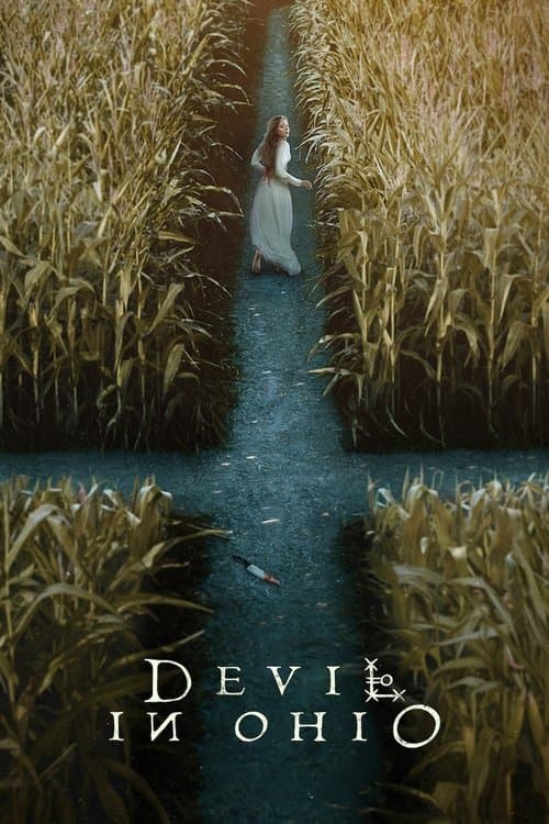 Affiche de Devil in Ohio