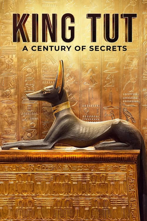 Affiche de Tut : Un siècle de secrets
