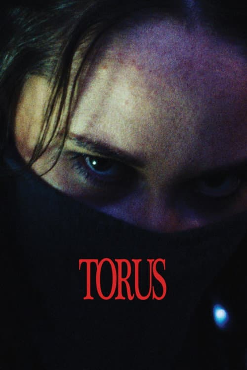 Affiche de Torus