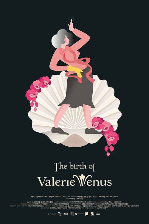 Affiche de The Birth of Valerie Venus