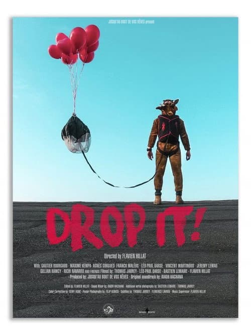 Affiche de Drop It!