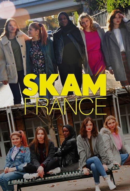 Affiche de SKAM France