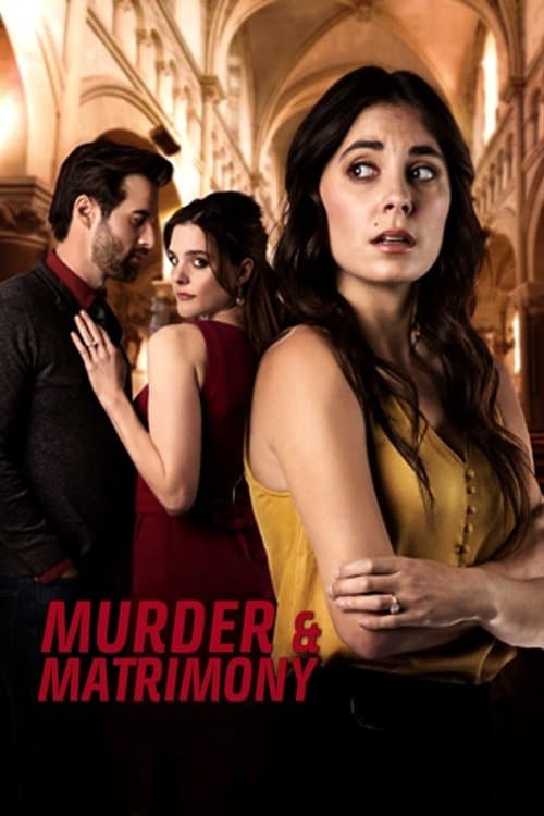 Affiche de Le frère disparu