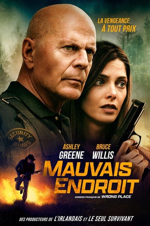Affiche de Wrong Place