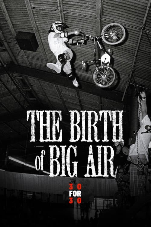 Affiche de The Birth of Big Air