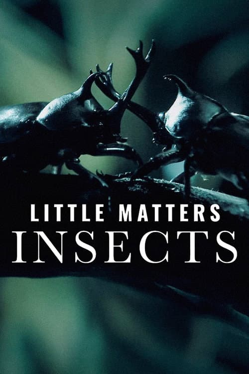 Affiche de Little Matters: Insects