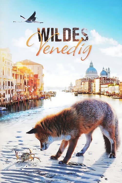 Affiche de Wild Venice