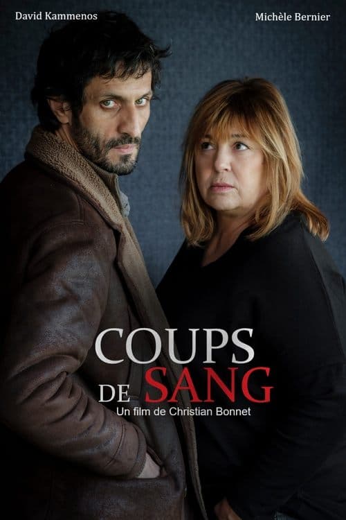 Affiche de Coups de sang