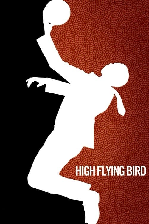 Affiche de High Flying Bird