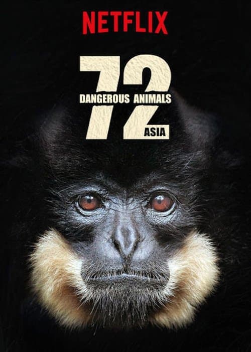 Affiche de 72 animaux dangereux en Asie