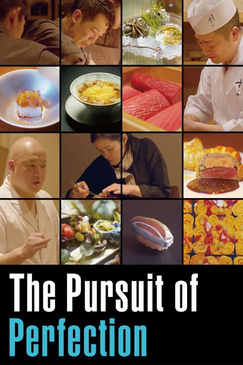 Affiche de The Pursuit of Perfection