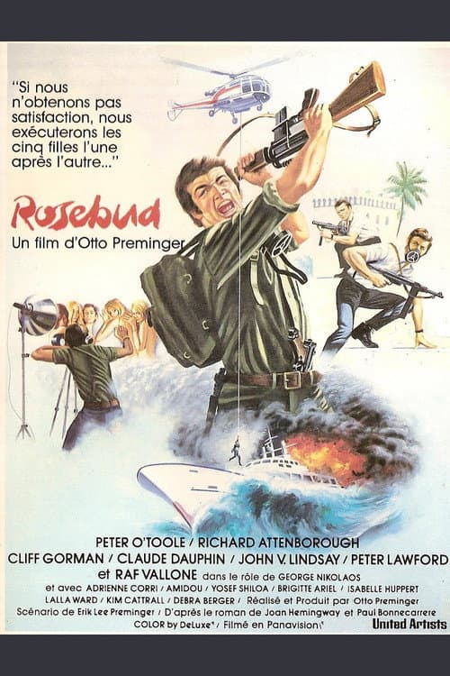 Affiche de Rosebud