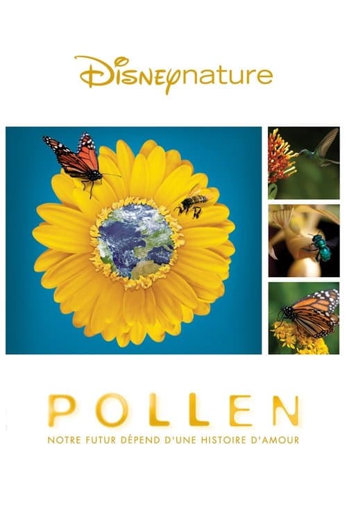 Affiche de Pollen