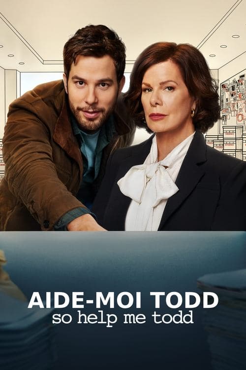 Affiche de So Help Me Todd