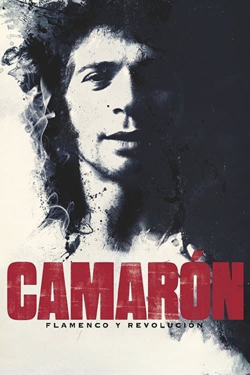 Affiche de Camarón