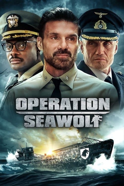 Affiche de Operation Seawolf