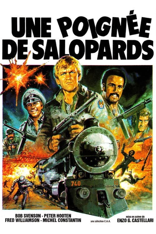 Affiche de Une poignée de salopards