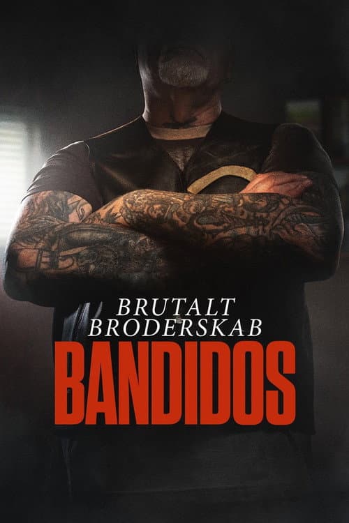 Affiche de Gang War: Bandidos