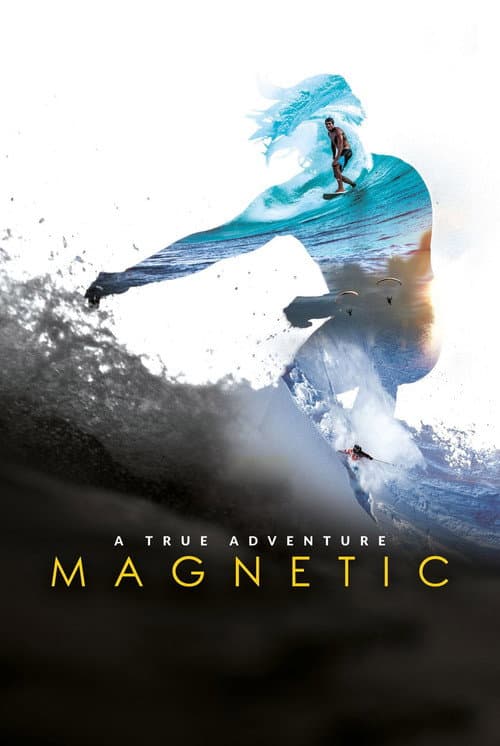 Affiche de Magnetic