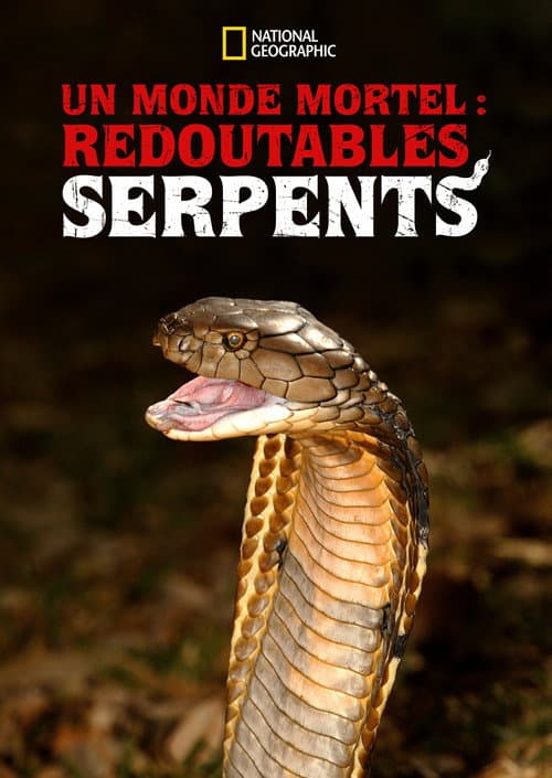 Affiche de Un monde mortel : redoutables serpents