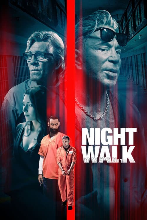 Affiche de Night Walk