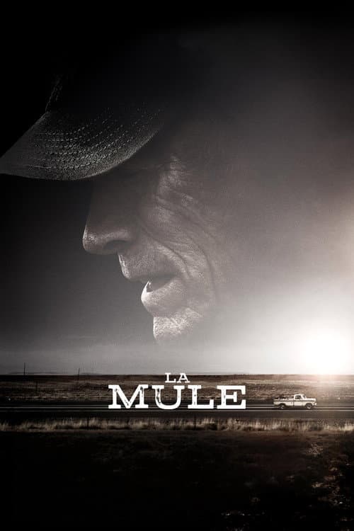 Affiche de La Mule