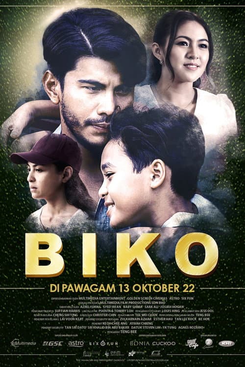 Affiche de Biko
