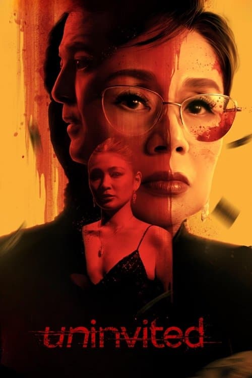 Affiche de Uninvited