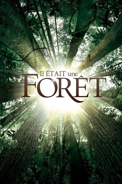 Affiche de Il était une forêt