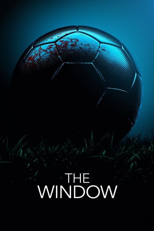 Affiche de The Window
