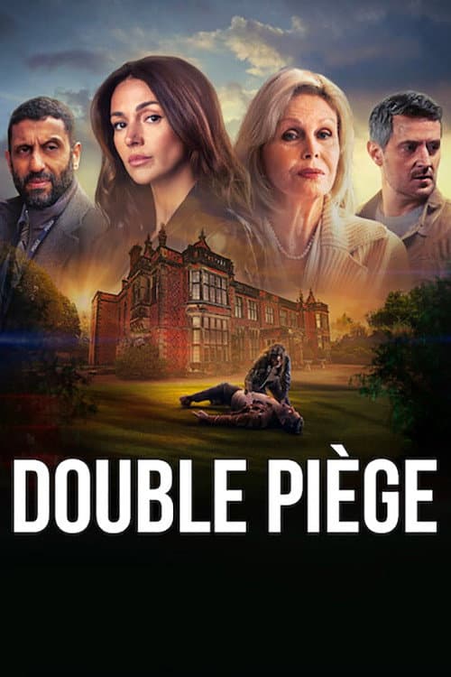 Affiche de Double piège