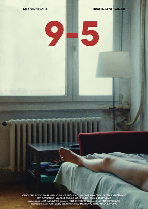 Affiche de 9-5