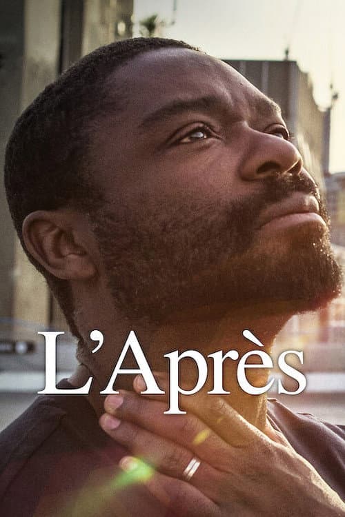 Affiche de L'Après