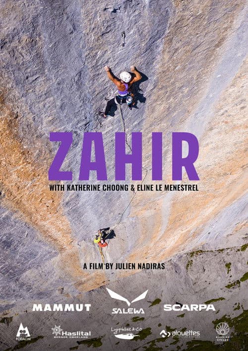 Affiche de Zahir