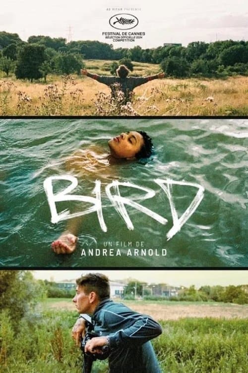 Affiche de Bird