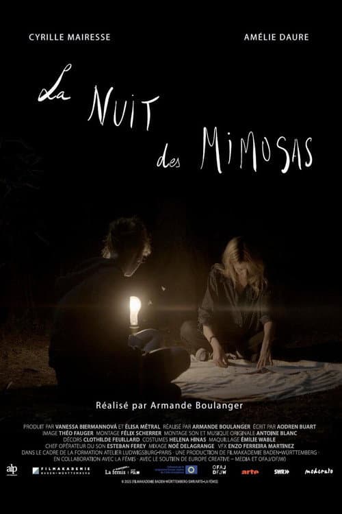 Affiche de La nuit des mimosas