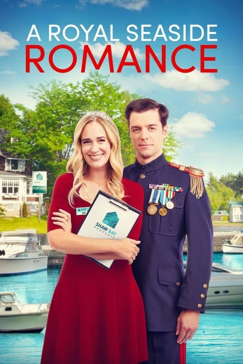 Affiche de Prince Charmant cherche maison