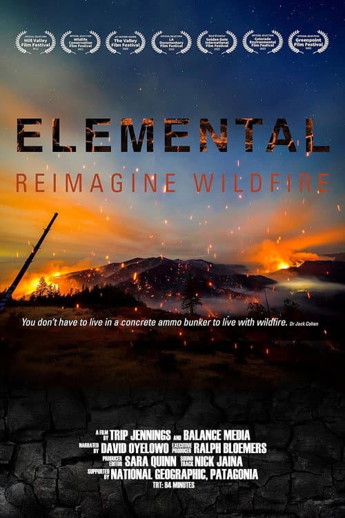 Affiche de Elemental: Reimagine Wildfire
