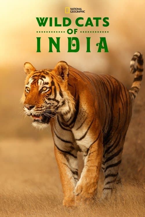 Affiche de L'Inde : Terre de félins